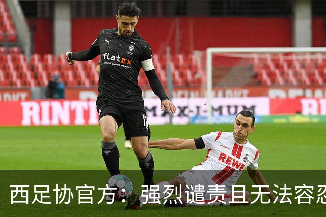 西足协官方：强烈谴责且无法容忍侮辱维尼修斯的行为